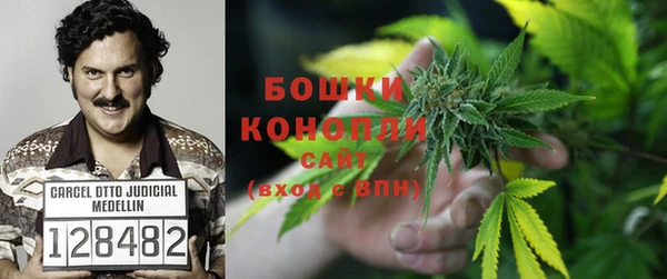 PSILOCYBIN Заволжск