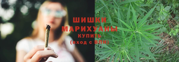 2c-b Заводоуковск