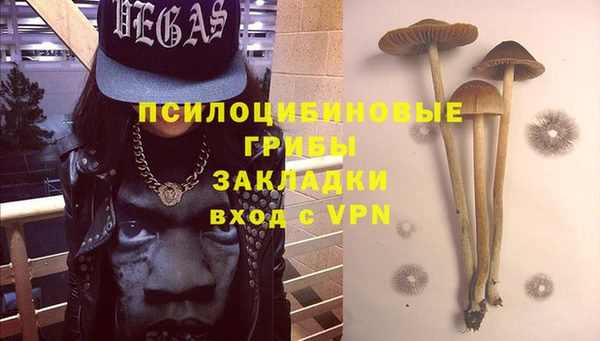PSILOCYBIN Заволжск