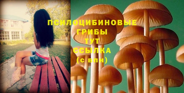 2c-b Заводоуковск