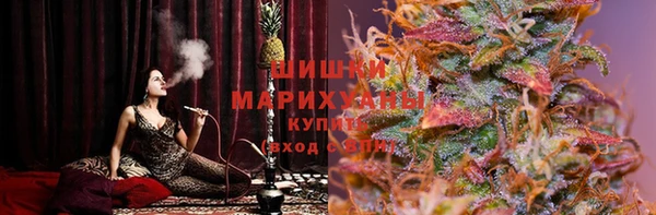 2c-b Заводоуковск