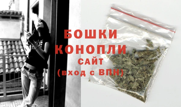 PSILOCYBIN Заволжск