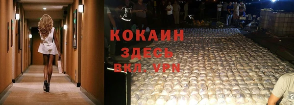 PSILOCYBIN Заволжск